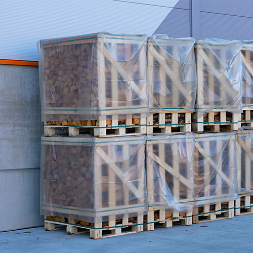 Grass Green & Gold Oxidized Crescent Chandbali Earrings – Elegant Ethnic Statement Jewelry for Women 2025